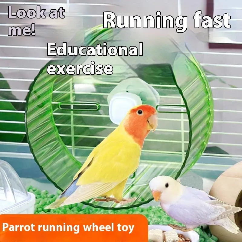A plastic parrot running wheel toy for bird cages, shown in a transparent colour.
