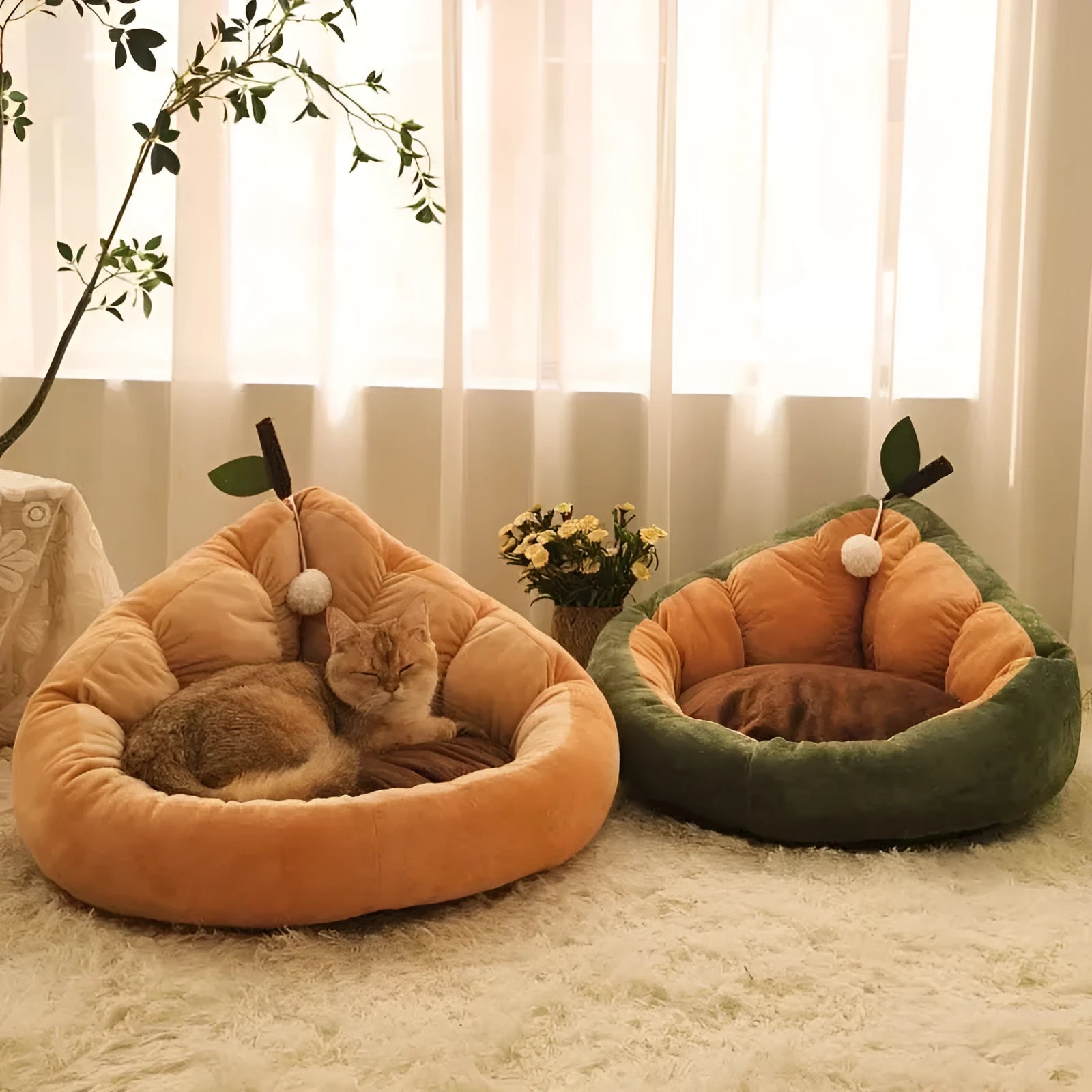 Soft cotton pet bed for cats and dogs with removable cushion in coffee colour