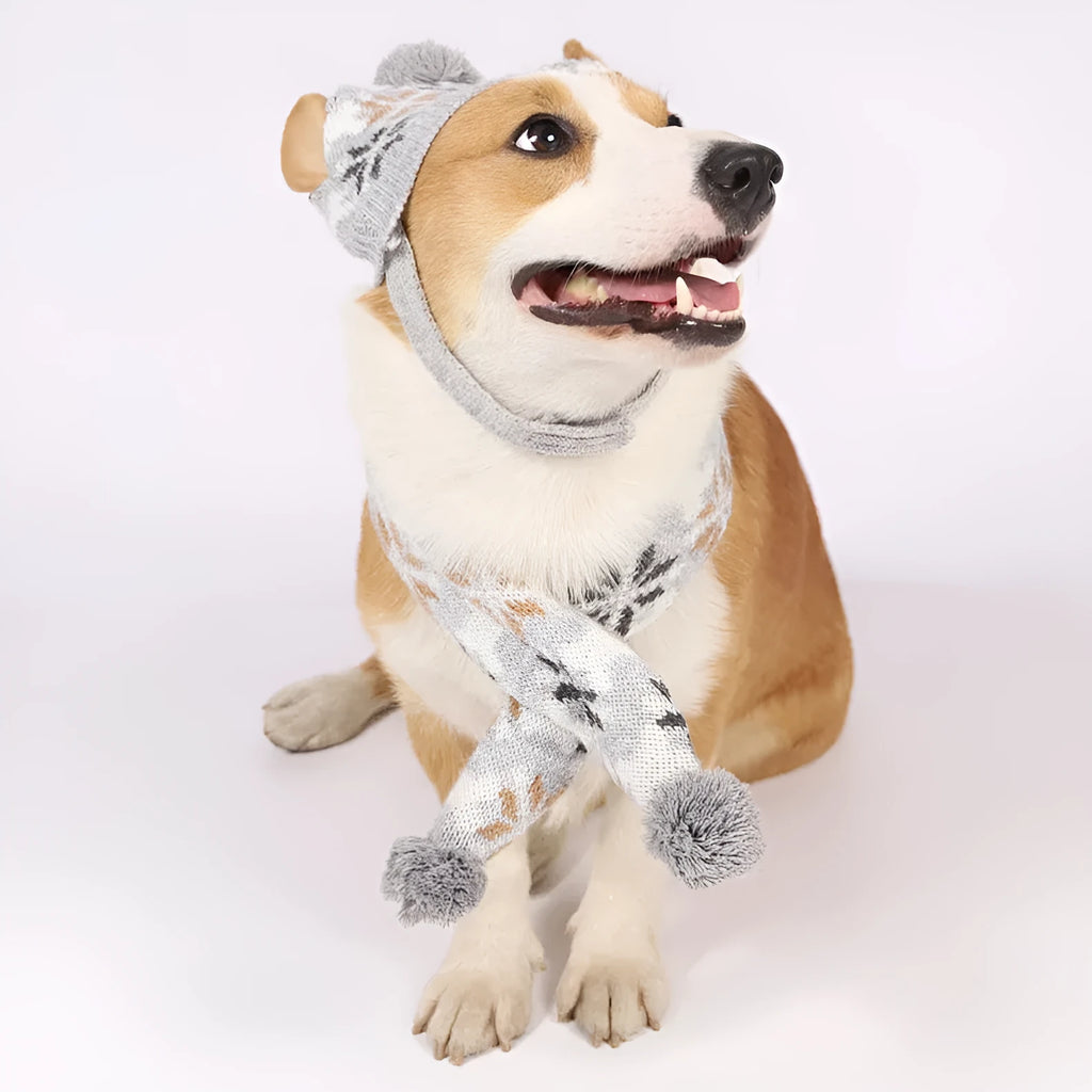 Japanese-style grey jacquard pet sweater with matching hat and scarf set on dog model