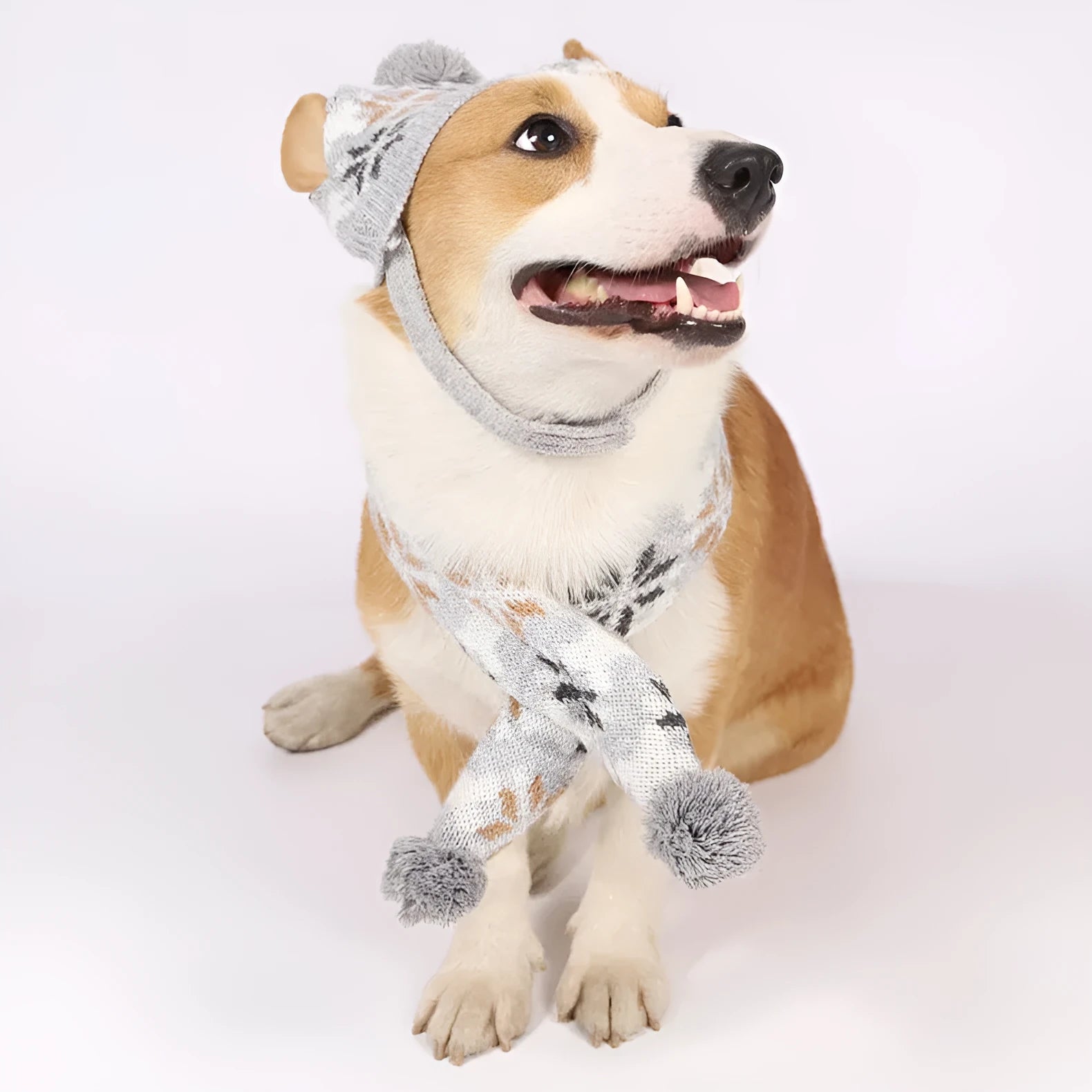 Japanese-style grey jacquard pet sweater with matching hat and scarf set on dog model