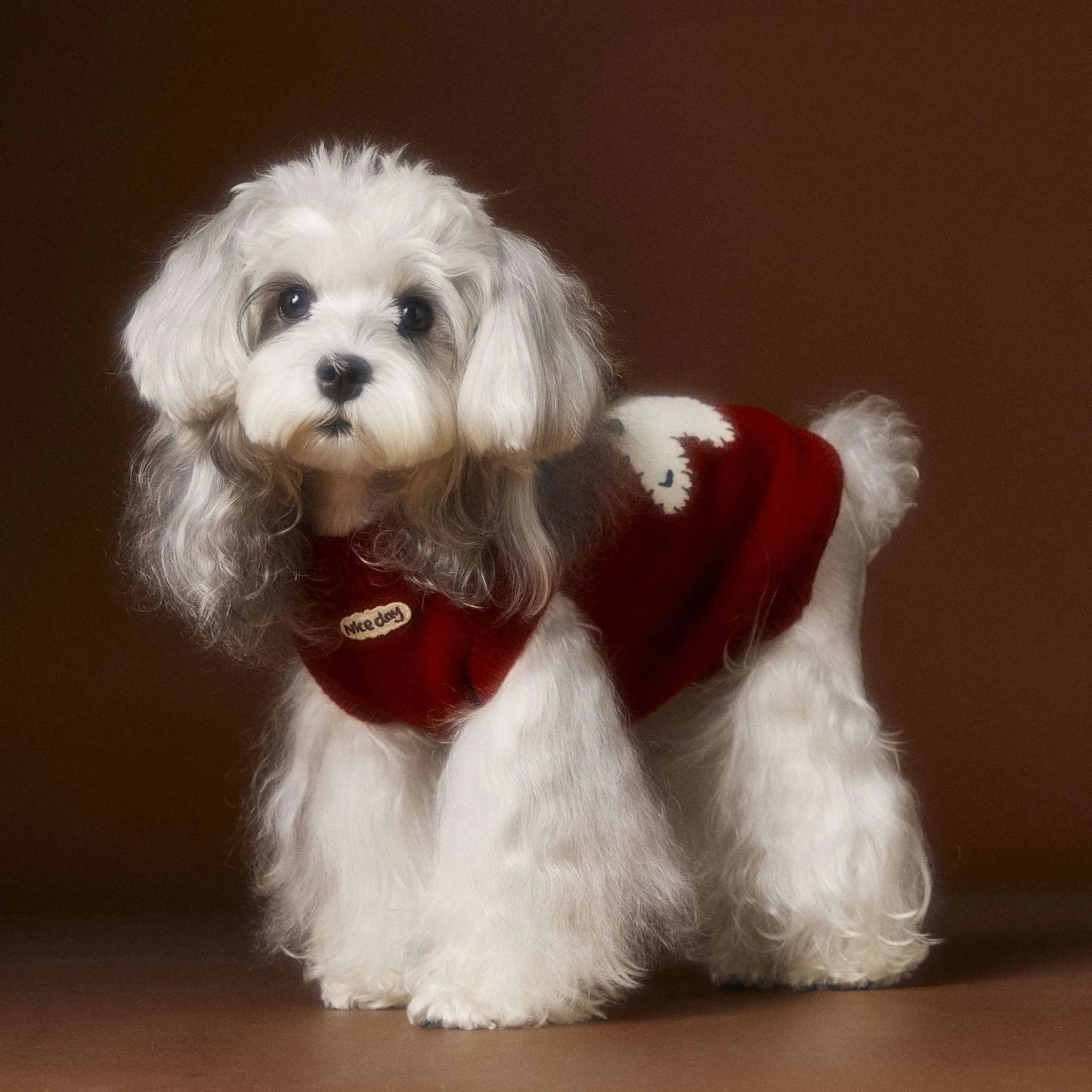 Red wool sleeveless sweater vest for small dogs like Schnauzer, Teddy, Bichon, shown on pet