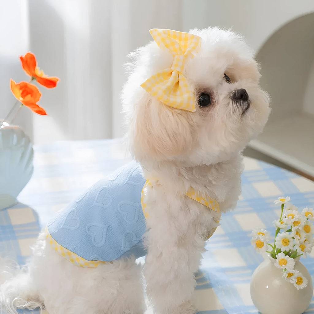 Small dog wearing a blue vest with a heart relief texture and white bow suspenders.