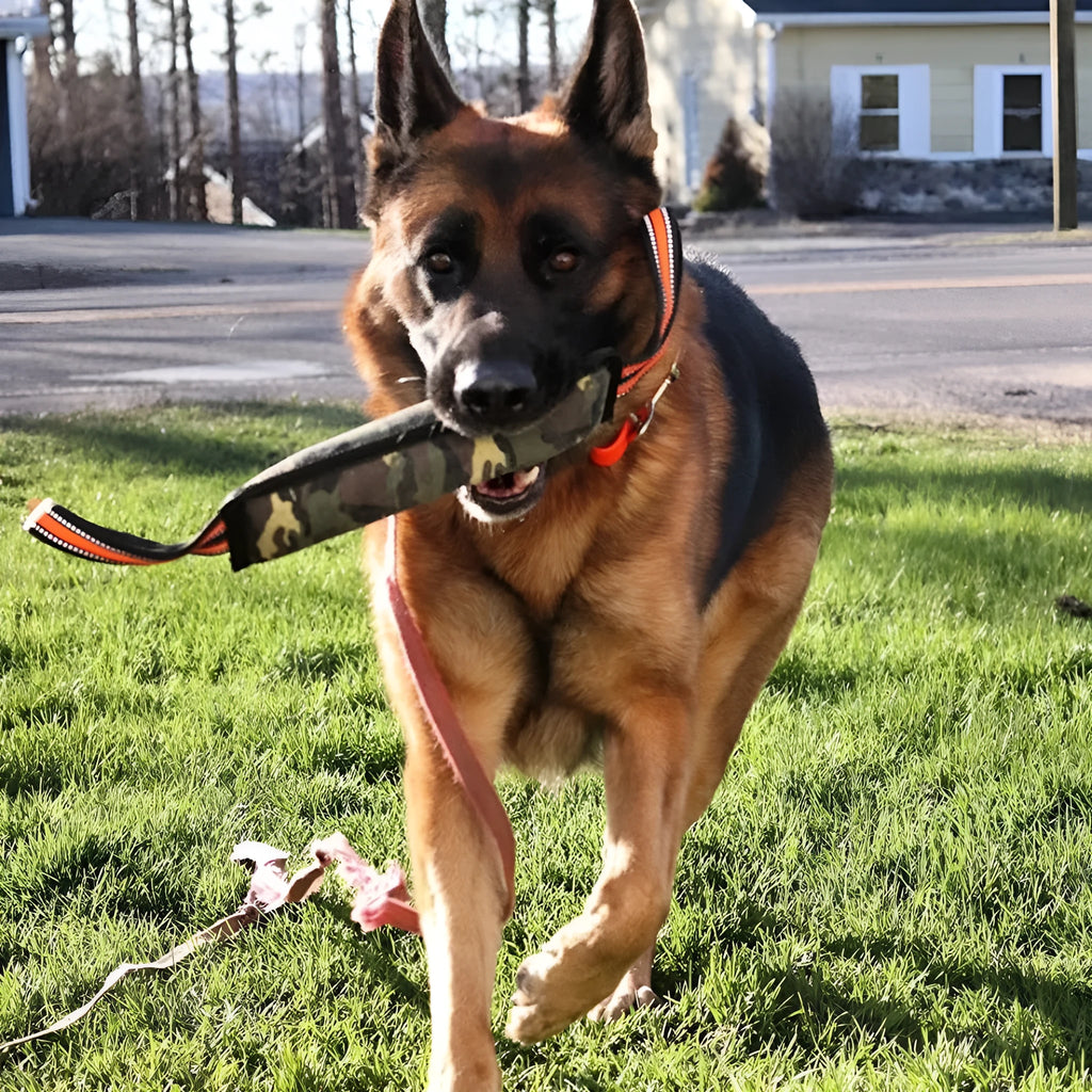 55 cm long yellow-edged jute dog bite stick with reflective strips for training and tug play.