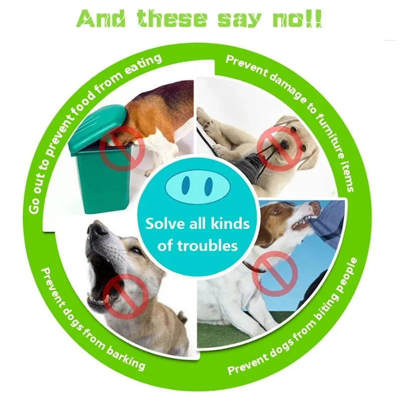 Silicone anti-bite mouth cover for dogs and piggies with long snouts in blue and green colours