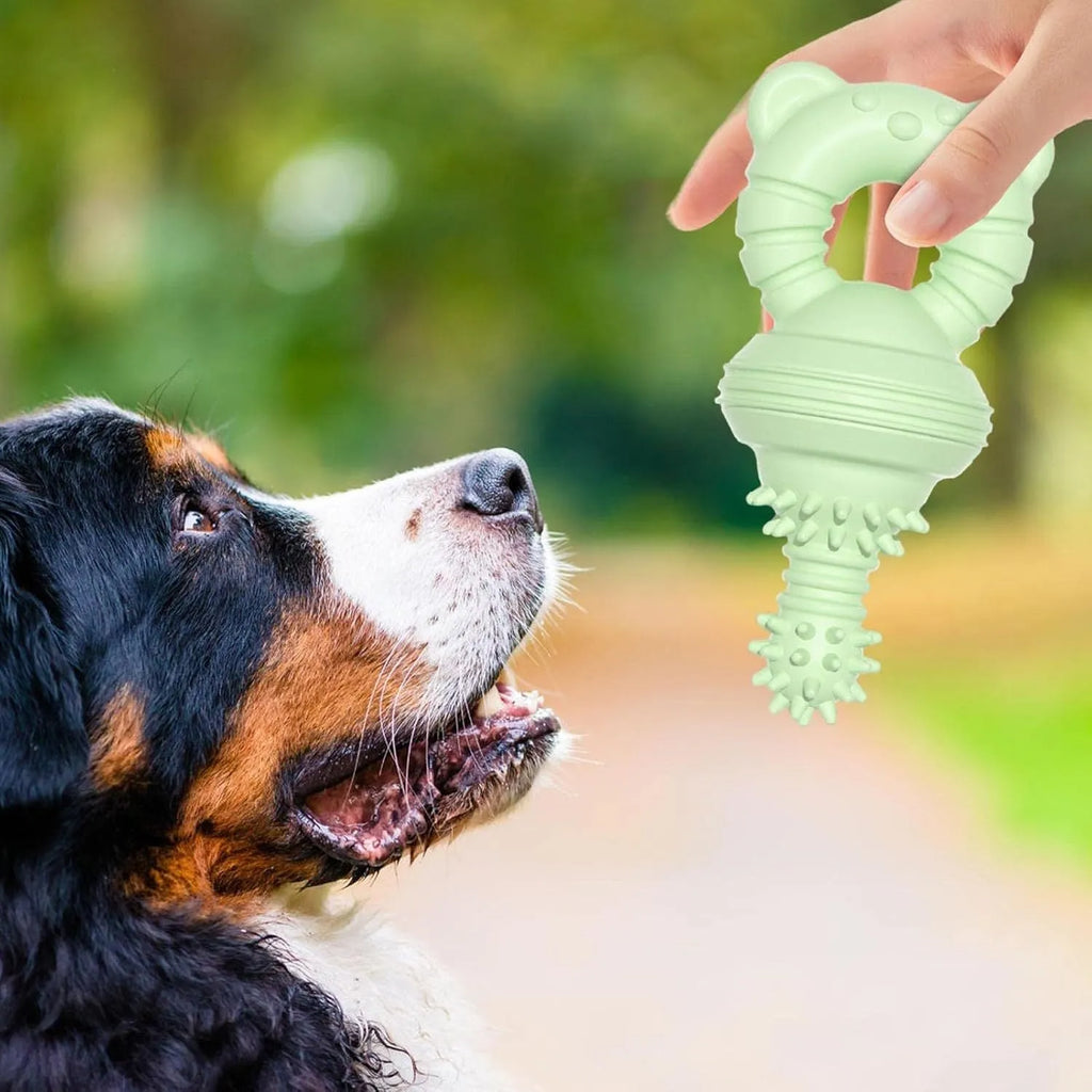 Blue rubber dog chew toy with concave-convex surface for cleaning teeth