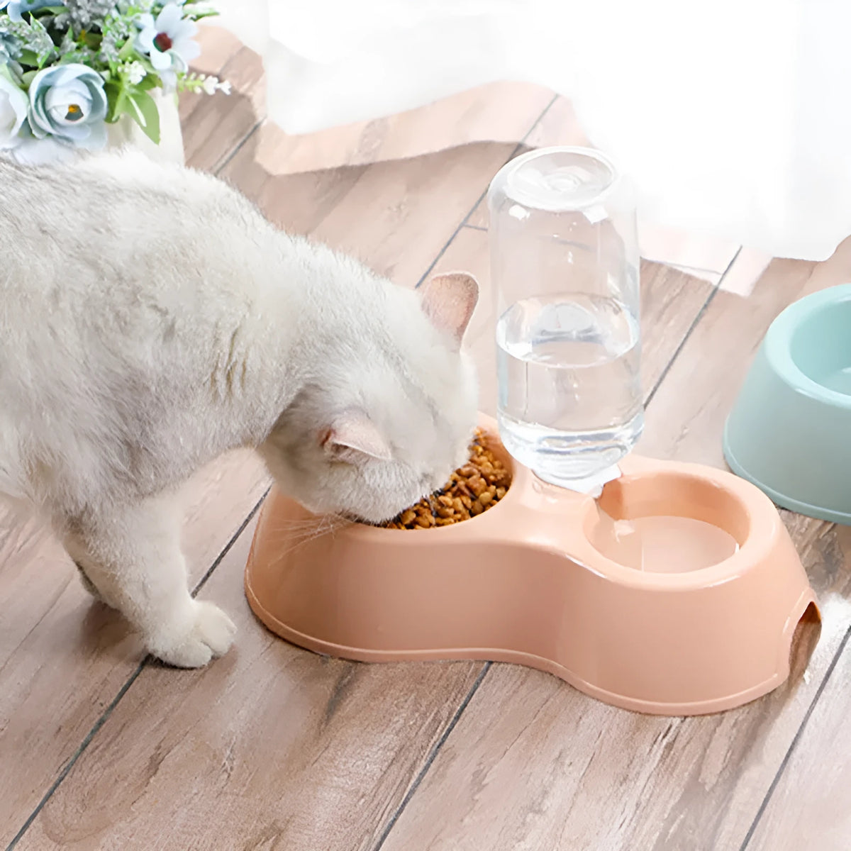 Plastic automatic pet double bowl with food bowl and water bottle in blue, grey or pink