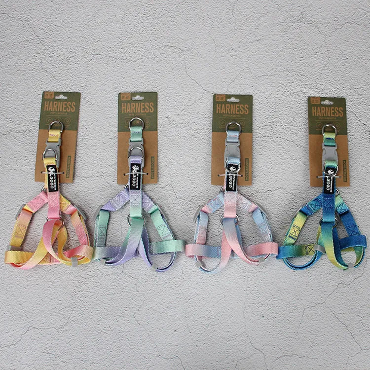 Nylon dog leash set showing gradient colour options including pink blue, yellow blue, pink yellow, and purple green combinations