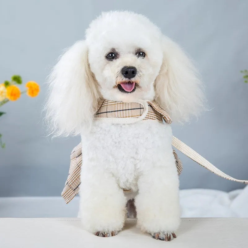 Chest strap pet vest harness with attached hand holding rope in polyester fabric