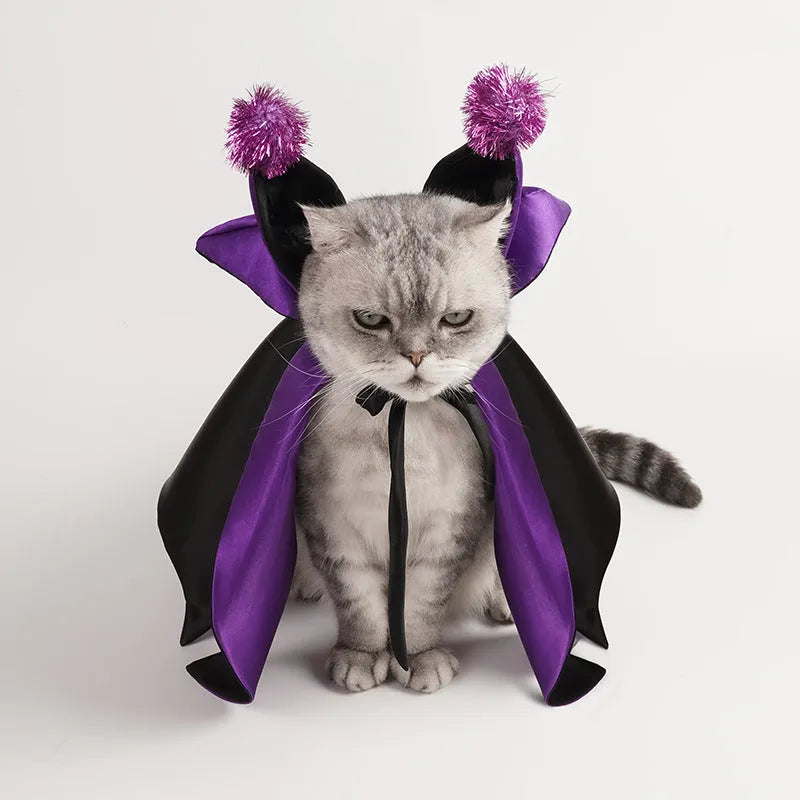 Halloween pet costume with bat cloak and cape hat, polyester, average size, for cats and dogs