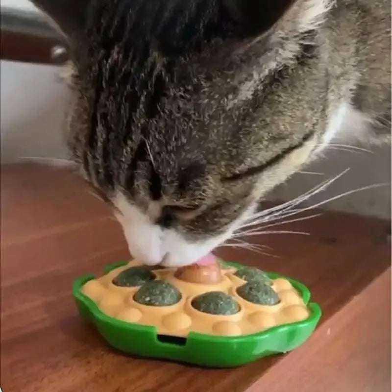 Green adhesive catnip ball toy for walls measuring 10.5x10.5cm with edible filling