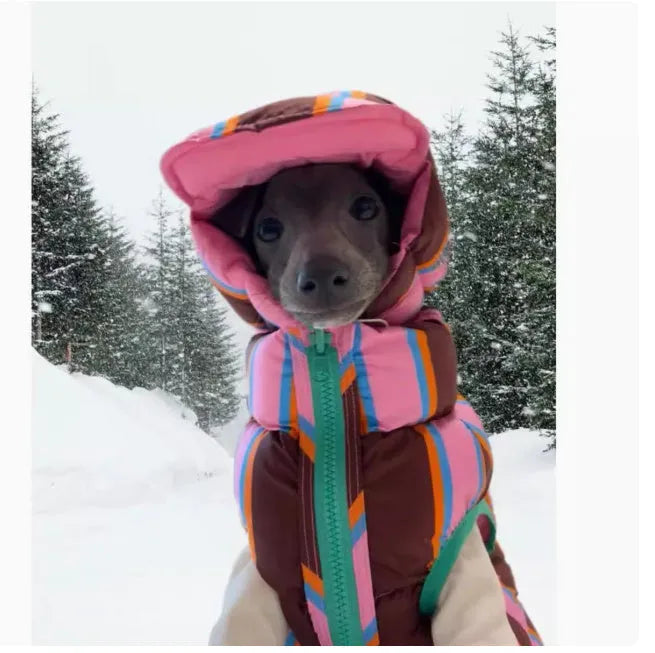 Dirty pink striped polyester dog vest and matching hat set for small to medium dogs.
