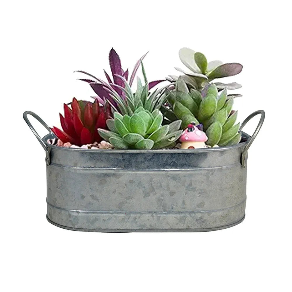 Iron sheet desktop succulent flowerpot with water-saving design for small cacti and plant arrangements