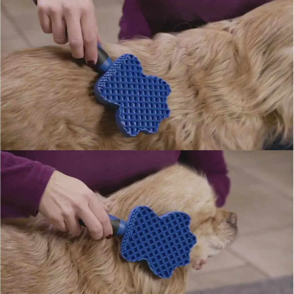 Blue pet hair remover brush 23 × 9 × 2.5cm with flexible silicone bristles and reverse shampoo comb for dogs and cats