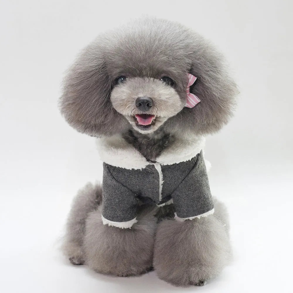Cotton winter dog jacket in dark gray, Nordic style, size L, on a pet store display