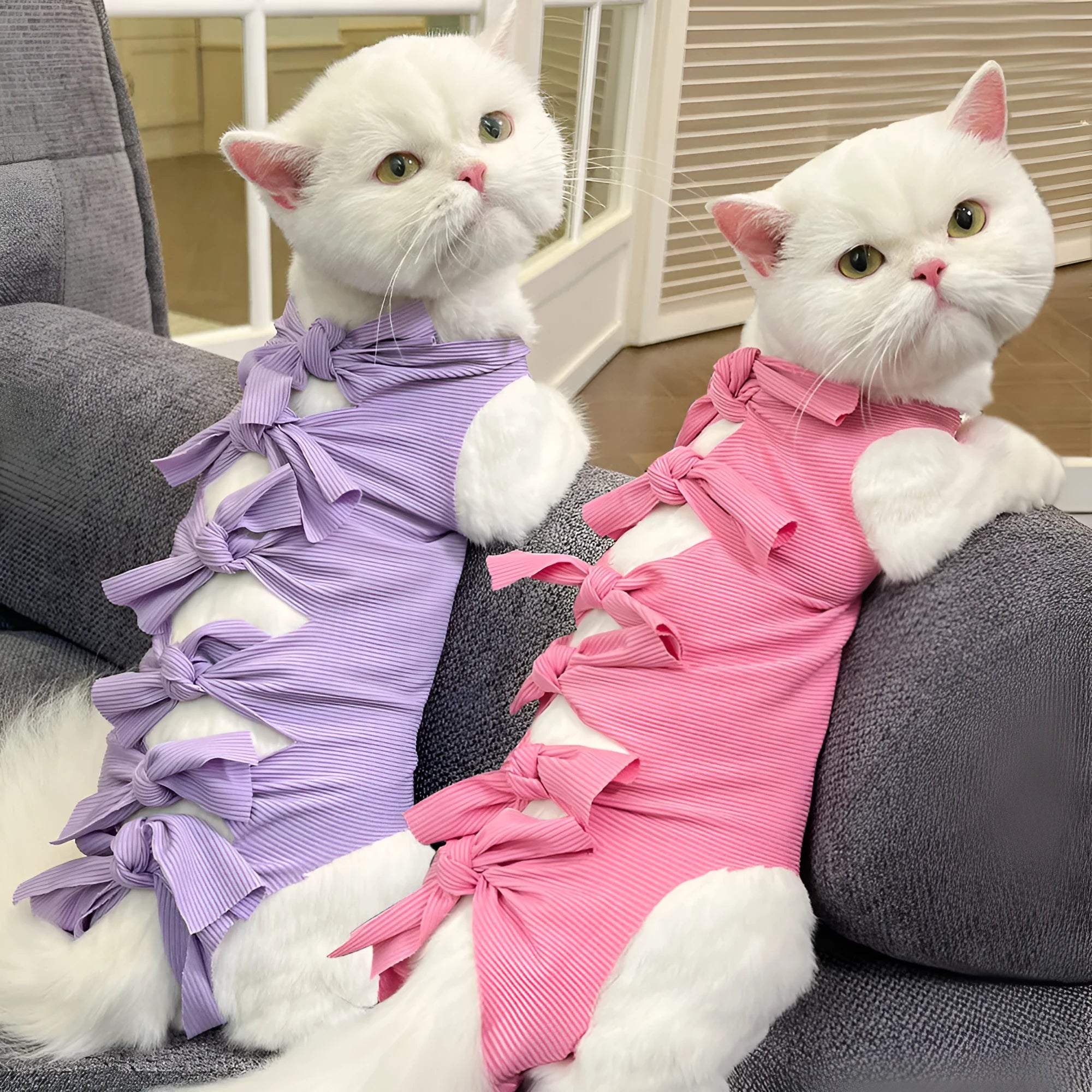 Lace-up polyester cat sterilisation clothing shown in blue on a mannequin, sizes for cats 1.5kg to 9kg.