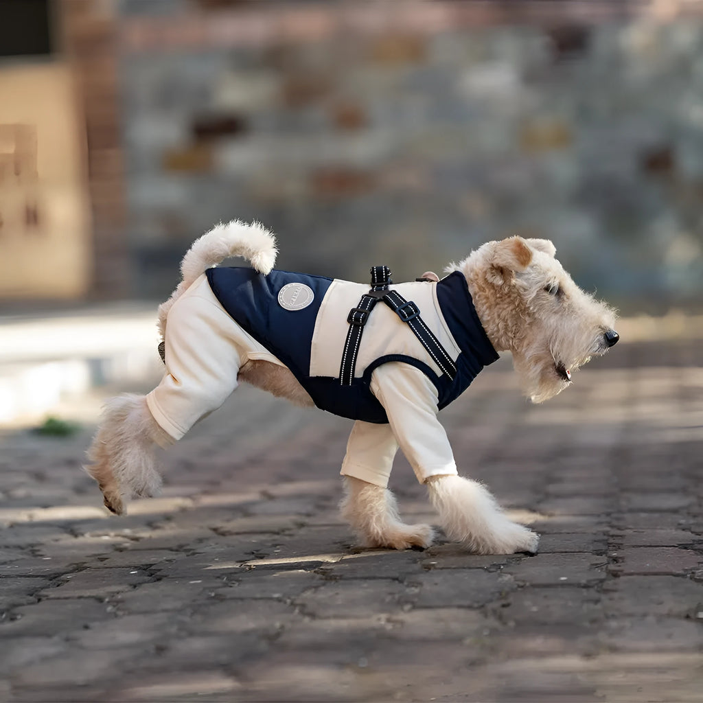 Pet dog windproof chest back integrated coat in navy blue British style polyester