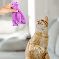 Cat octopus catnip plush toy in purple colour on white background