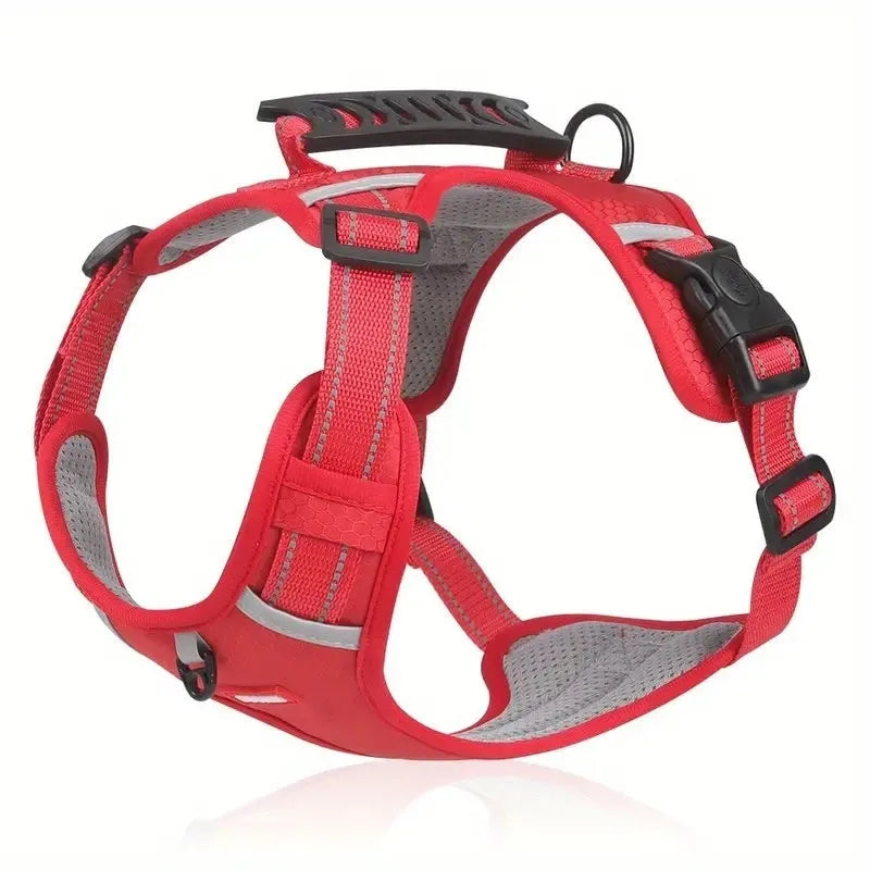 A polyester dog chest harness and matching leash set shown in a choice of colours.