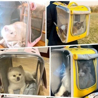 Pet carrier backpack made of polyester for outdoor cat travel in a pure colour option