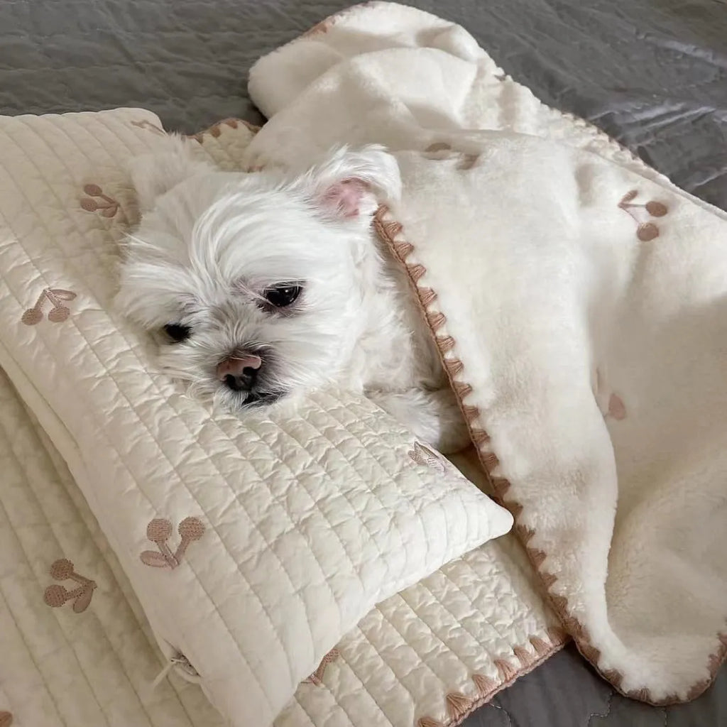 Simple bear design washable dog bed set with square mattress, quilt, and pillow in two size options.
