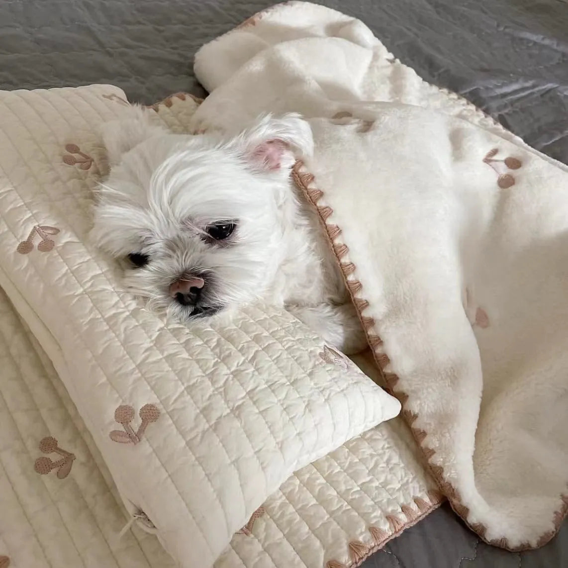 Simple bear design washable dog bed set with square mattress, quilt, and pillow in two size options.