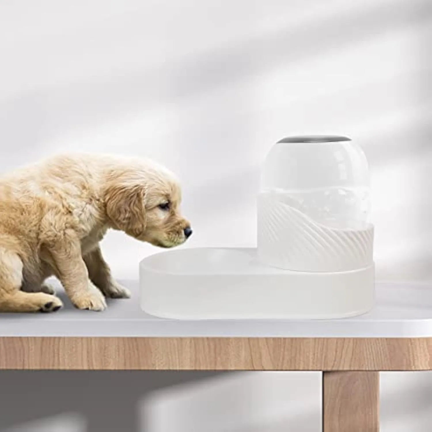 White gravity cat feeder and water dispenser set with wave-shaped design