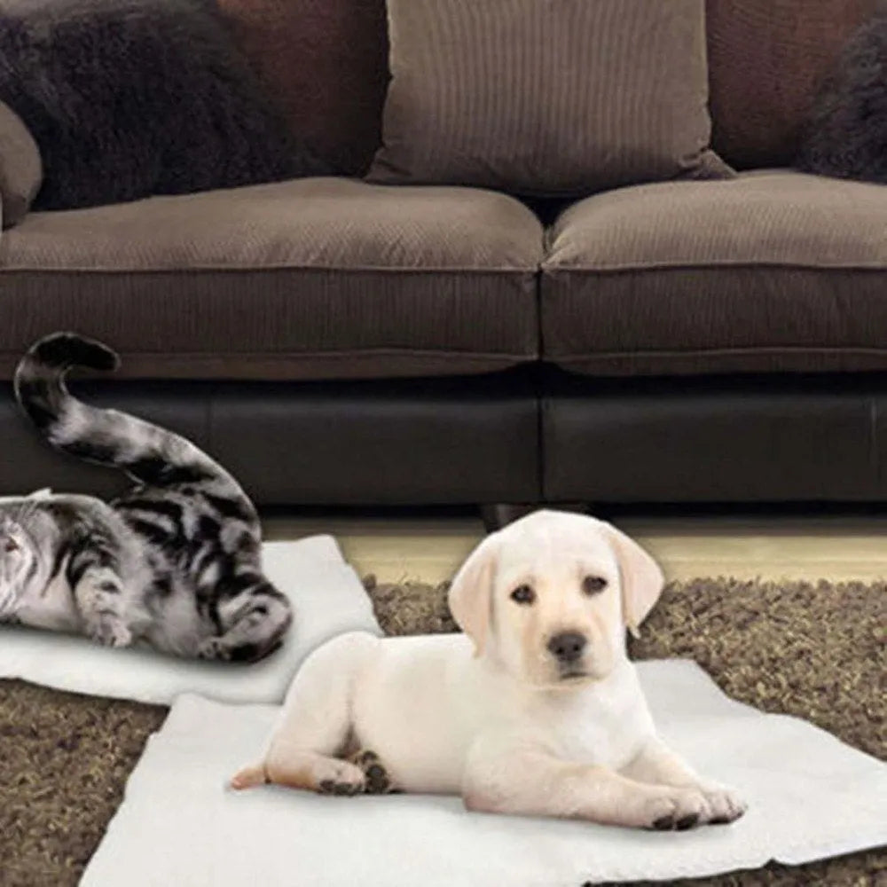 Beige self heating pet blanket with faux lambswool surface, available in 640x490mm and 900x640mm.