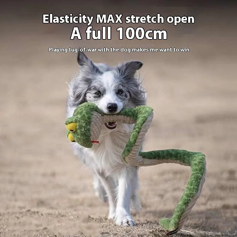 Pet molar long lasting sounding dog toy in plush green fabric for interactive chew play