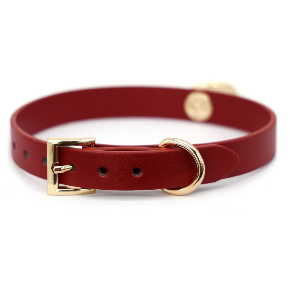 Genuine cowhide leather dog collar with chain lead in black and red colour options