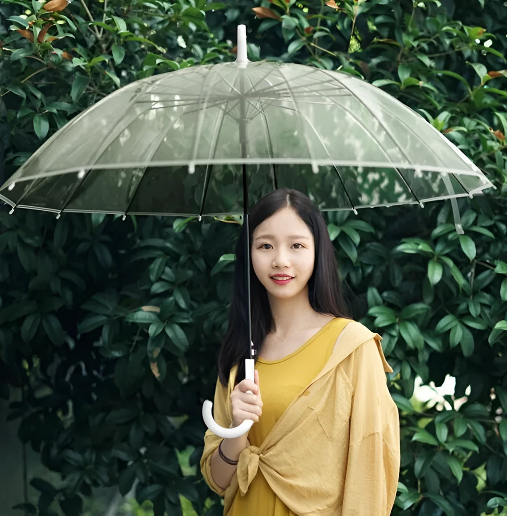 Transparent 16-rib umbrella with extra-long handle showing black steel skeleton frame