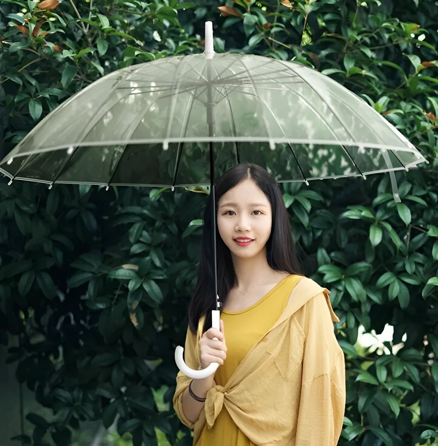 Transparent 16-rib umbrella with extra-long handle showing black steel skeleton frame