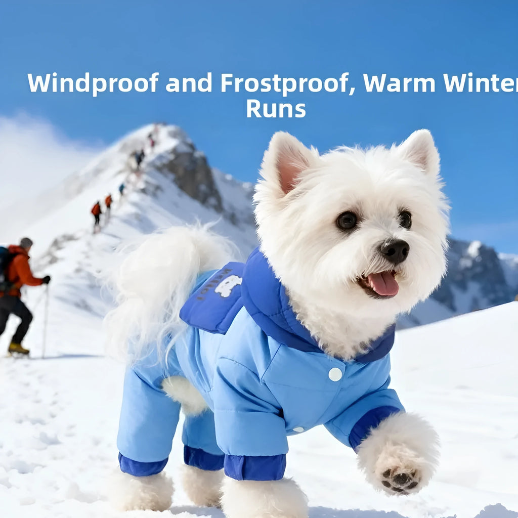 Blue padded dog snowsuit with hood and Hello bear print on front for small and medium breeds