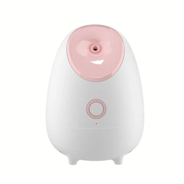 White household facial steamer with hot spray function and polished plastic shell