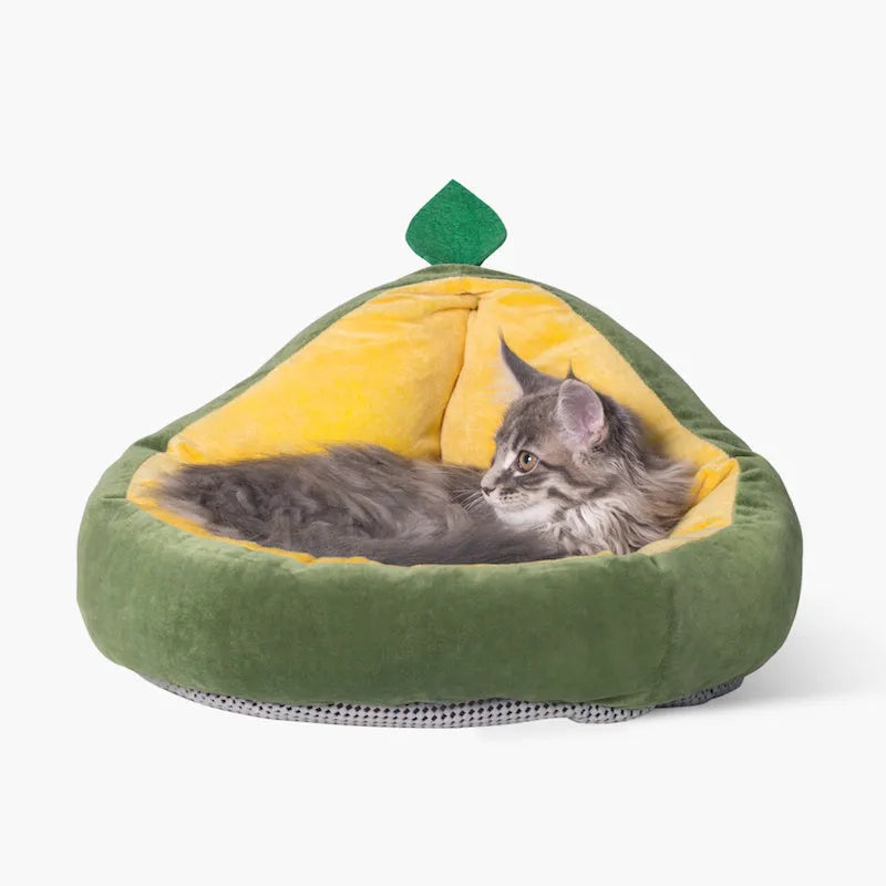 Cotton pit avocado detachable pet nest in green with washable cover for cats and super small dogs