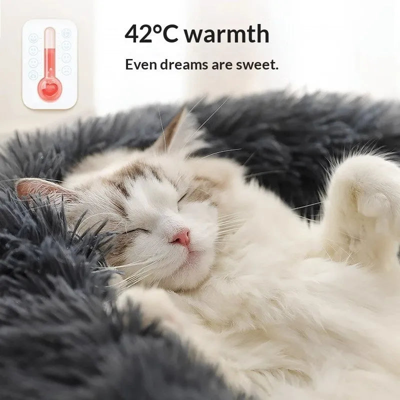 Plush shell nest crystal fleece cat bed in gradient grey colour, soft fabric thick warm bed for cats