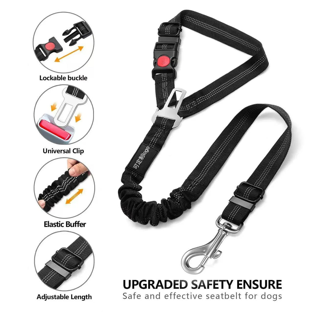 Nylon dog lead with metal buckle in multiple colour options including army green, pink, and dark blue