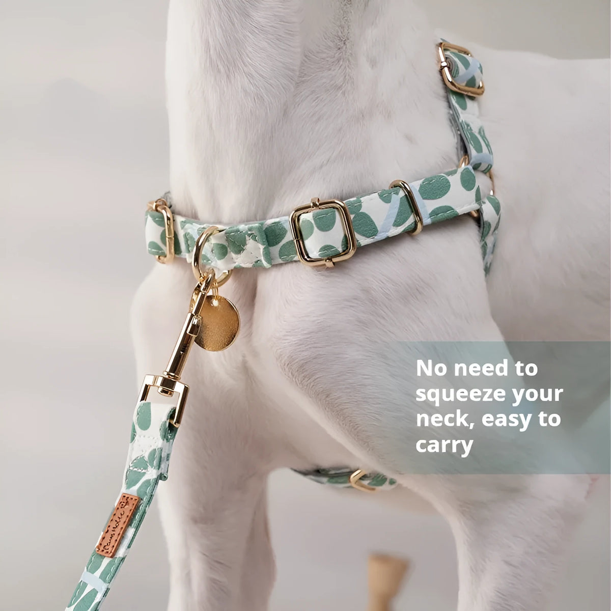 Explosion-proof polyester dog chest strap in loquat tree colour, size M, with adjustable straps and optional traction rope.