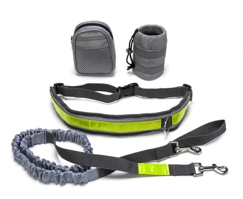 Adjustable hands-free dog leash running set with nylon retractable rope, waist belt, and two storage bags on a person jogging