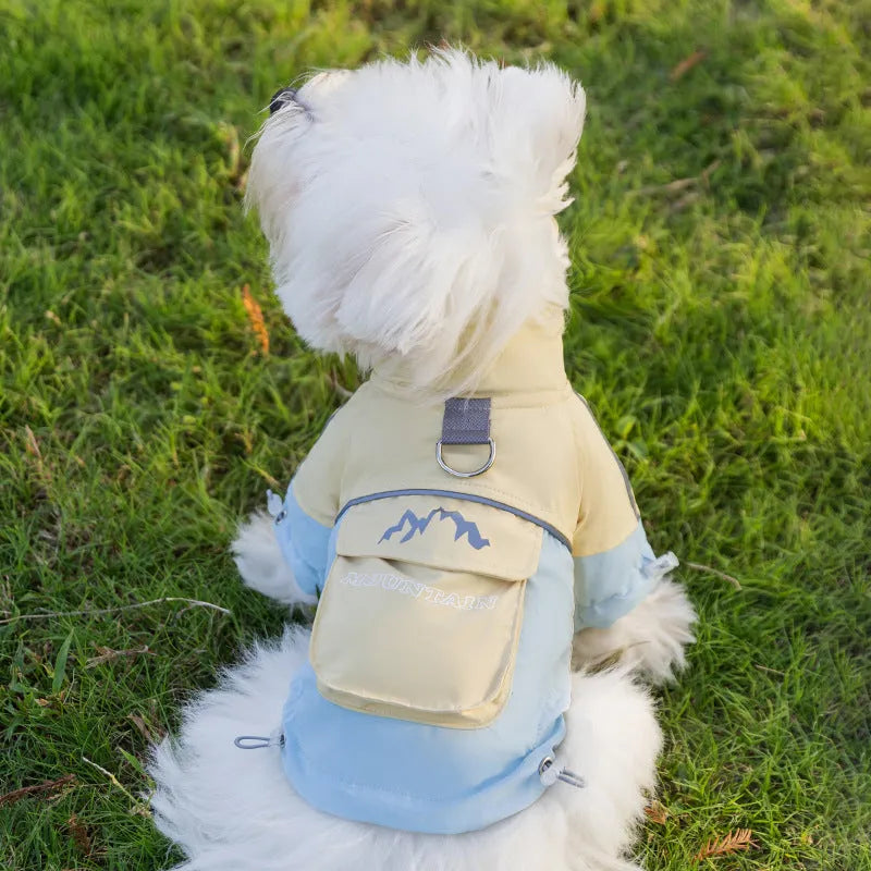 Dog windbreaker in sunny yellow-blue colour block, windproof two-legged cotton coat with tall collar and D-ring on a small dog