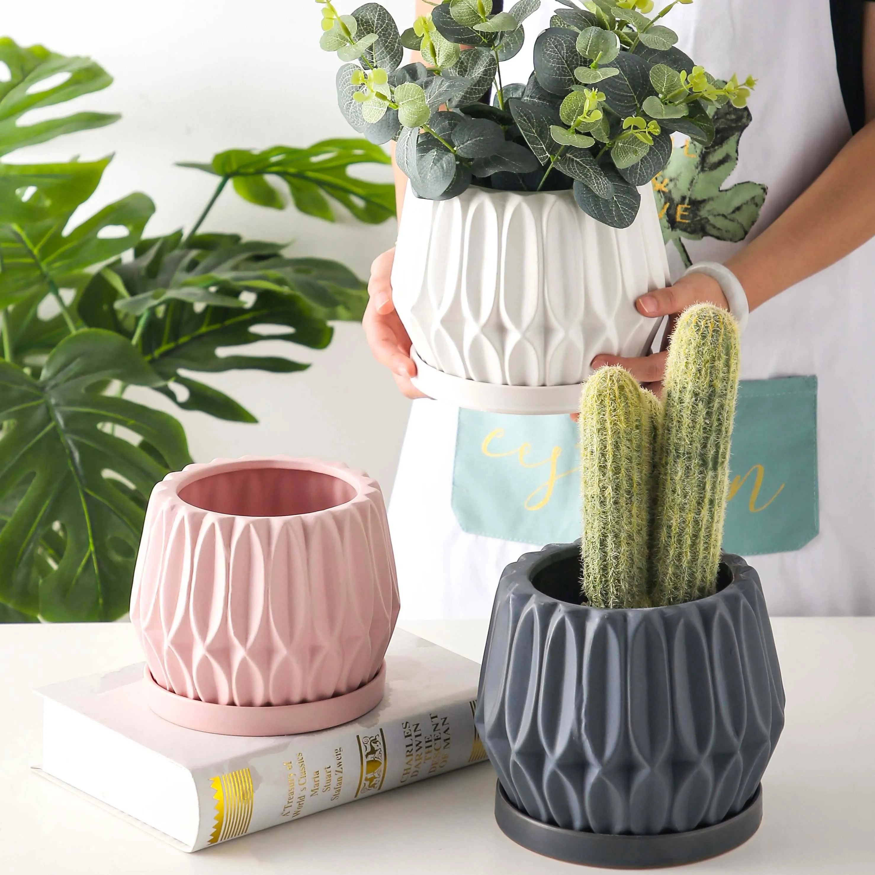 Medium grey ceramic flowerpot for tabletop indoor plants