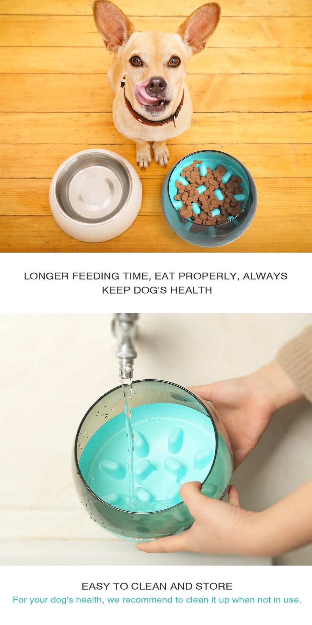 Plastic slow food bowl for pets, 19 x 19 x 14 cm, shown in blue, green, or yellow