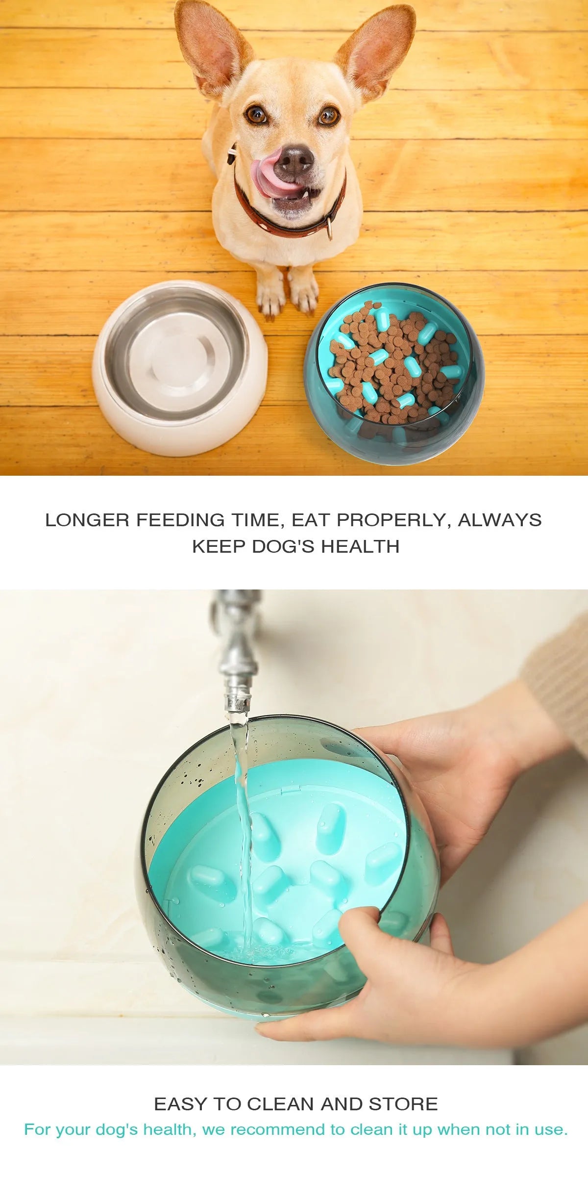 Plastic slow food bowl for pets, 19 x 19 x 14 cm, shown in blue, green, or yellow