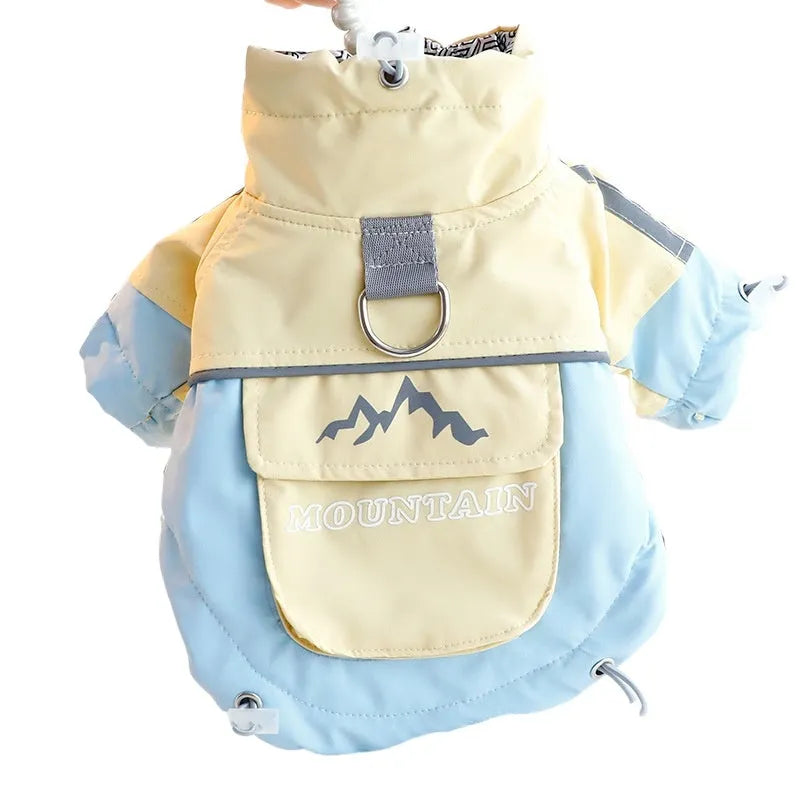 Dog windbreaker in sunny yellow-blue colour block, windproof two-legged cotton coat with tall collar and D-ring on a small dog