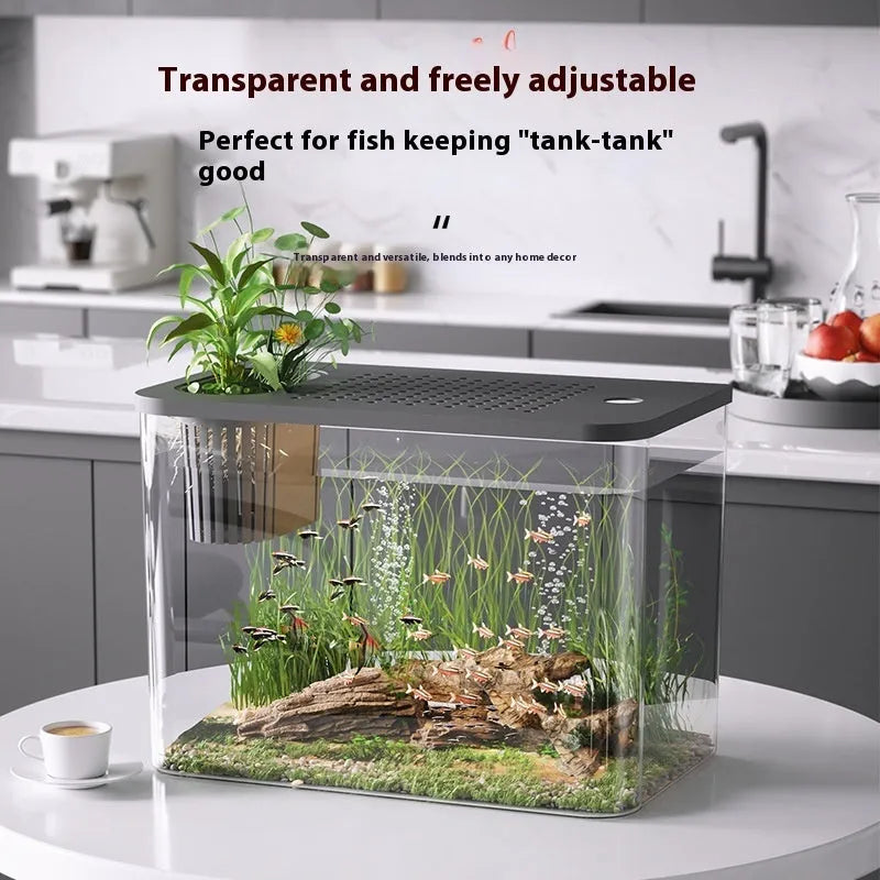 Compact black plastic betta fish tank with a clear cover on a wooden desk.