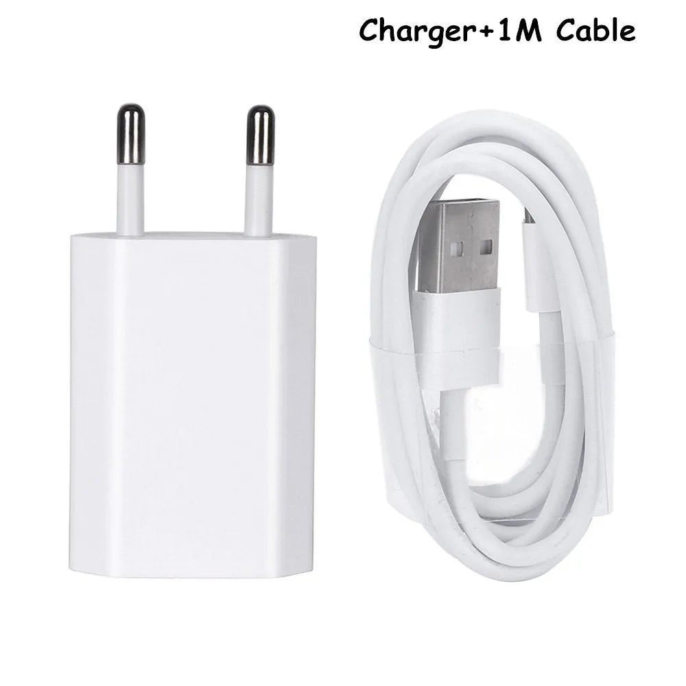 5V 2A USB travel charger and cable compatible with iPhone and iPad models.