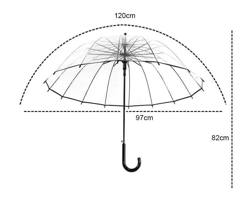 Transparent 16-rib umbrella with extra-long handle showing black steel skeleton frame