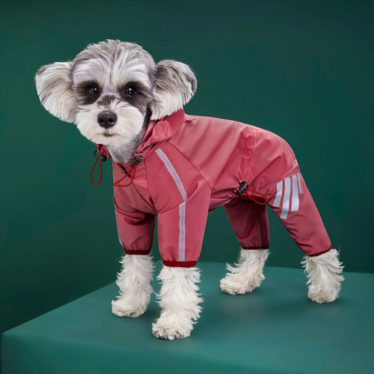 Four-legged dog raincoat in PUC polyester fibre waterproof pet clothing, sizes S to 2XL, black yellow pink blue
