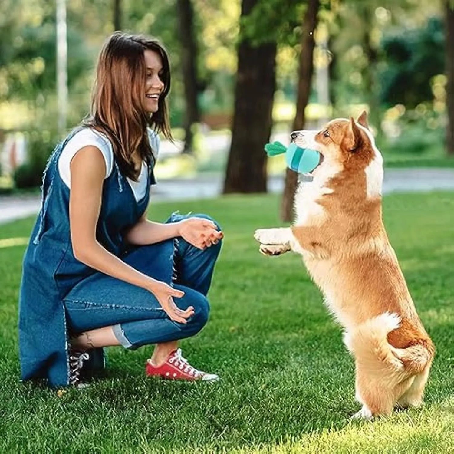 Blue and green durable rubber interactive dog treat dispenser puzzle ball for medium large dogs