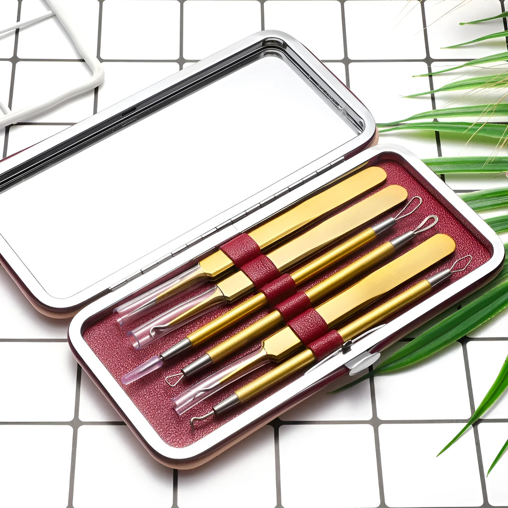 Rose gold stainless steel acne remover tool set with 6 dual-purpose beauty needles