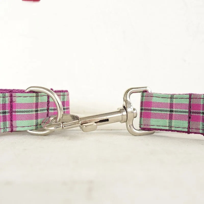 Mint zigezi polyester dog collar and matching leash set in tear-resistant construction